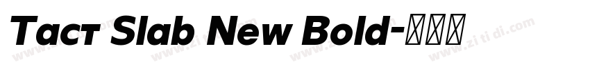 Tact Slab New Bold字体转换